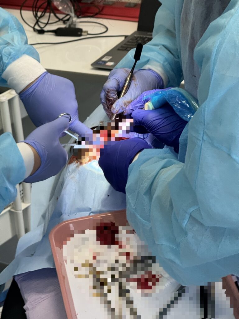 微信图片 20250514104342 768x1024